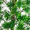 6ft. UV Artificial Podocarpus Artificial Tree (Indoor/Outdoor)